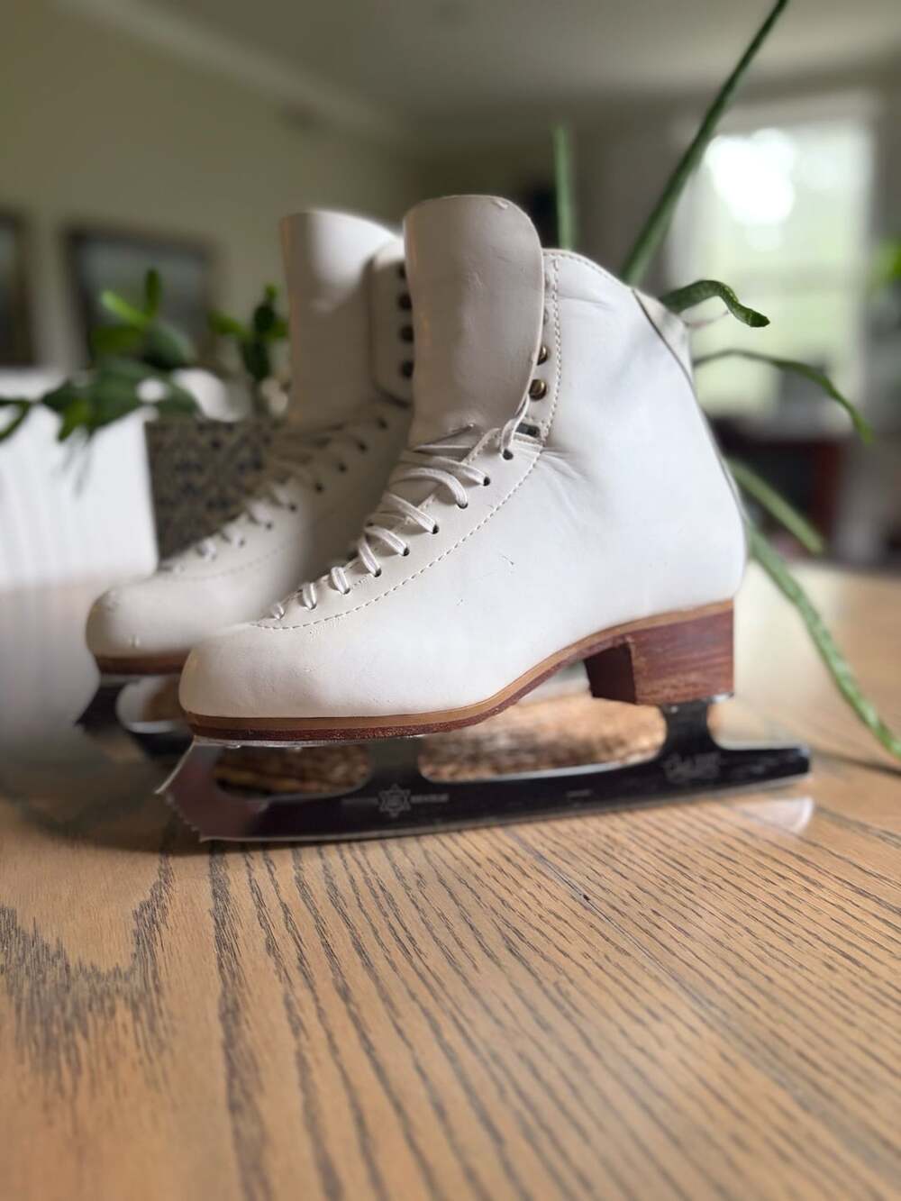 Jackson White Leather Figure Skates w/ Pristine MK Club 2000 Blades Sz6C